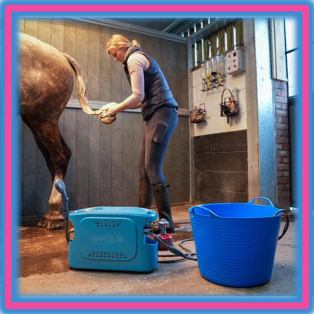 Horse Showers
