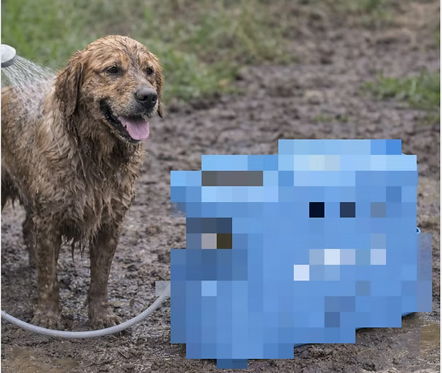 Dog being washed with a hose next to a pixelated blue creature.