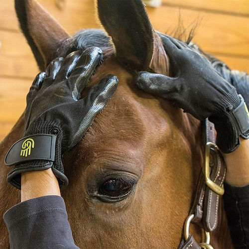 HandsOn Washing Glove