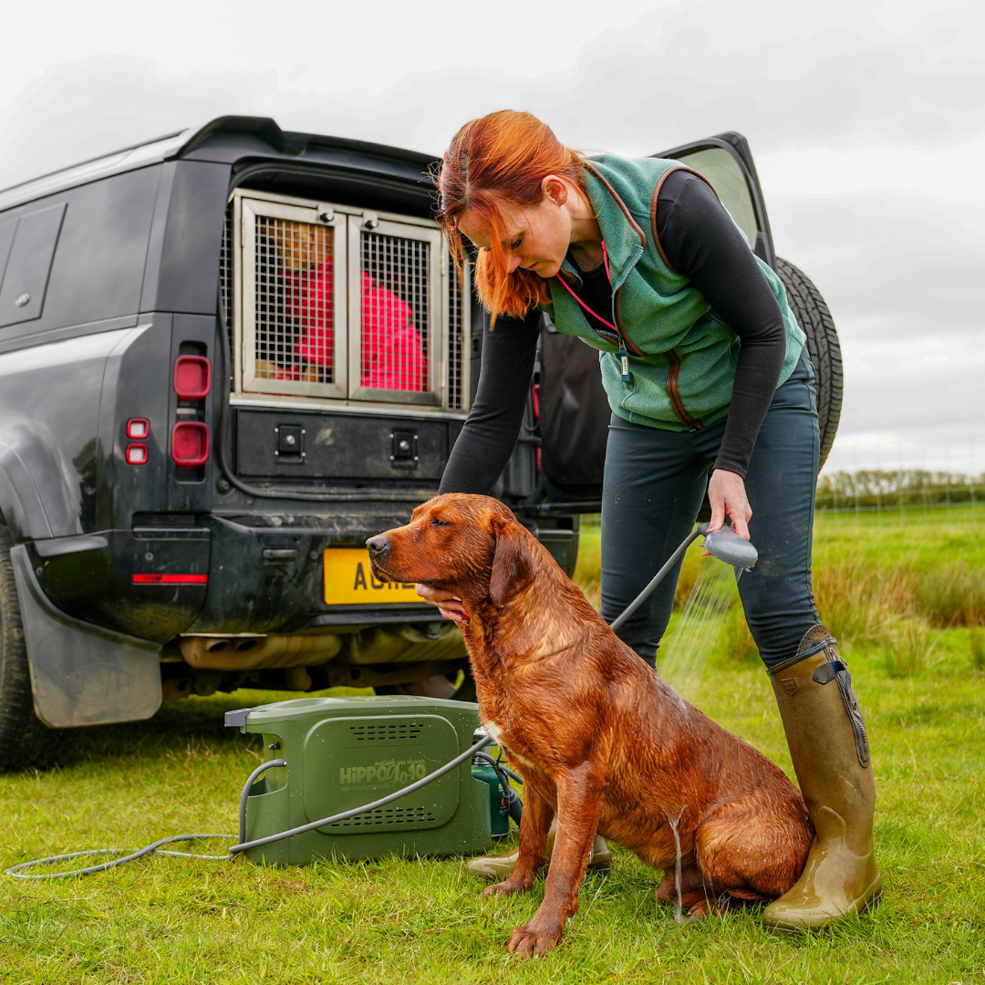A woman outdoors in a grassy field uses a handheld hose to rinse a brown dog. A green portable dog grooming station Hippo Go sits on the grass nearby, and the rear of a black vehicle is visible in the background.