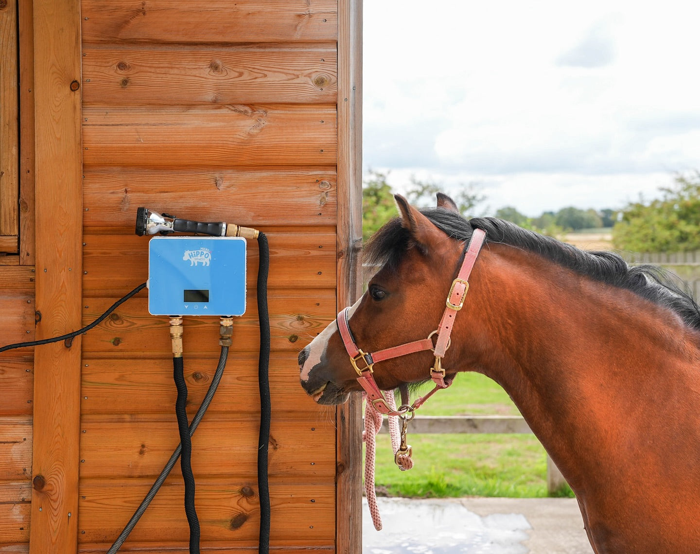 Horse standing next to a wooden stable with a hippo horse shower mounted on the wall.