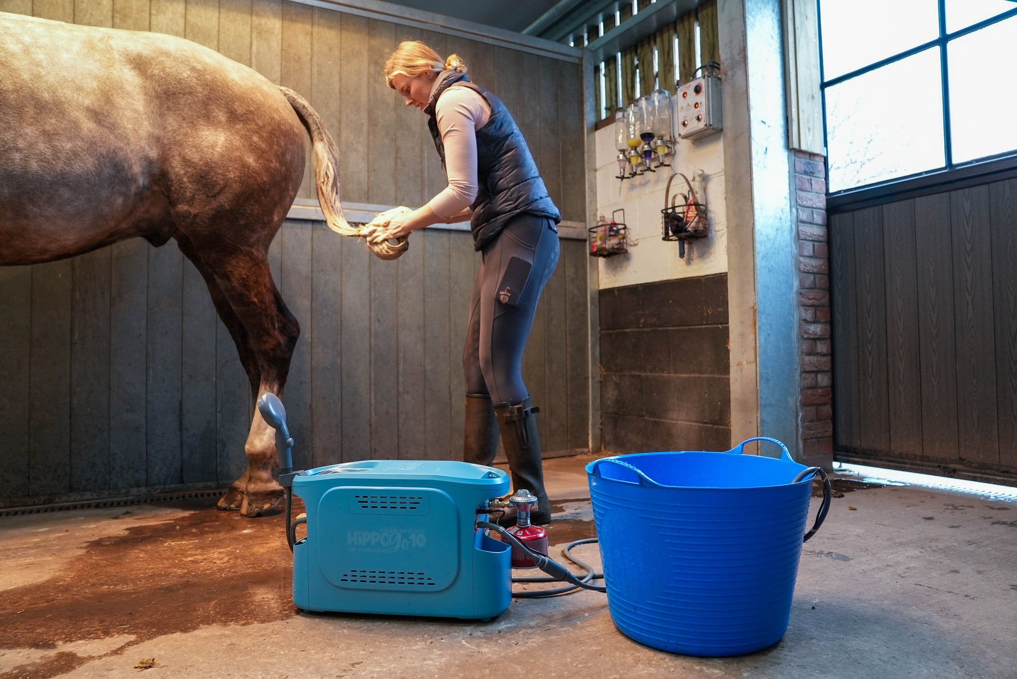 Person grooming a horse in a stable with a blue hippo go 10 portable shower and bucket.