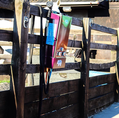 Horse grooming tools hanging on a wooden fence