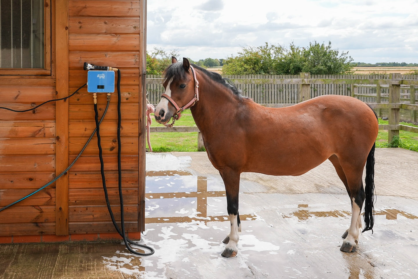 Micro-E Hippo Electric Shower - 3kw - Plug In